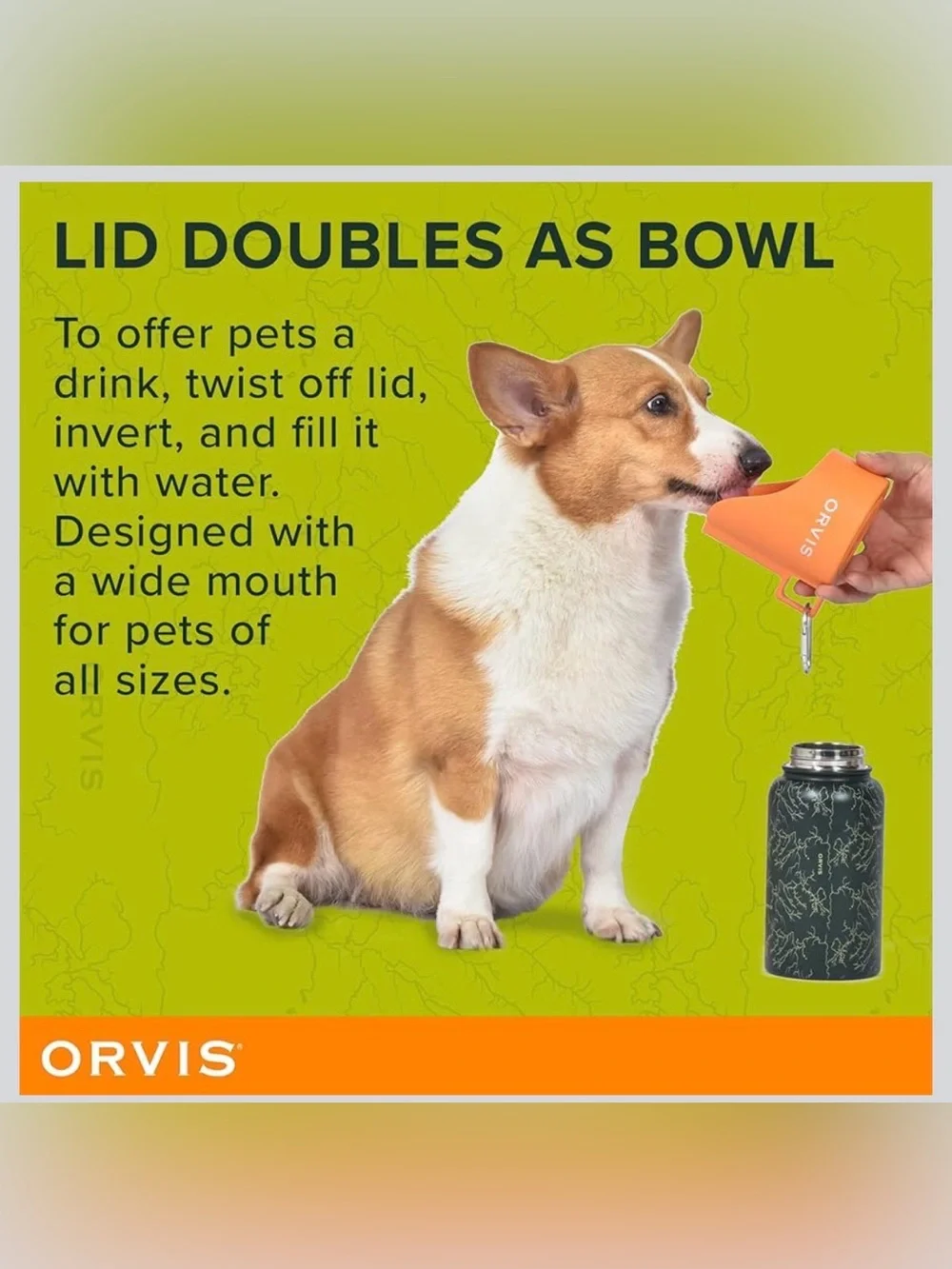 Orvis Pet Travel Water Bottle 25oz Stainless Hiking Outdoors